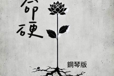 命硬的人是否注定不怕灾难
