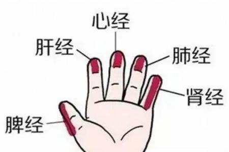 一掌经排盘：如何通过手相解读命运走向