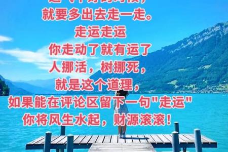 现实生活中的好妻命：是运气还是努力