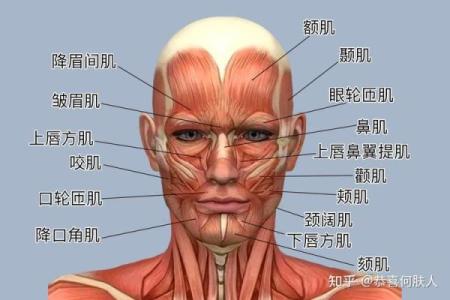 眉间八字纹的女人：揭示内心世界与情感压力的背后