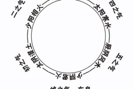 如何通过梅花排盘系统解读个人命运