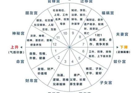 紫微排盘解析：如何通过星盘解读个人命运轨迹