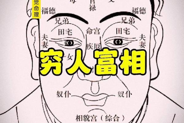 面相学与财富：如何通过五官预测财运