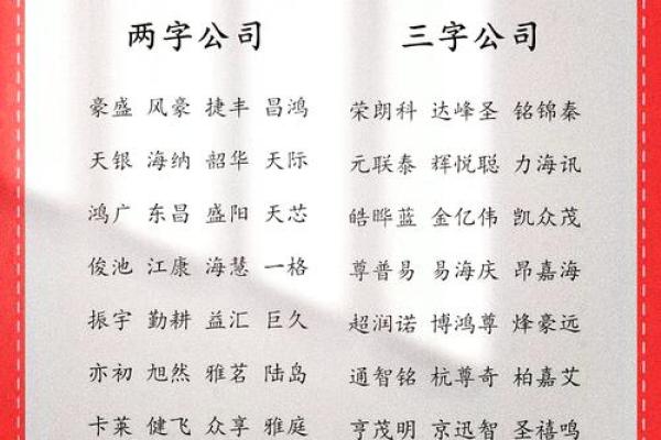 子公司命名技巧：从品牌价值到市场定位