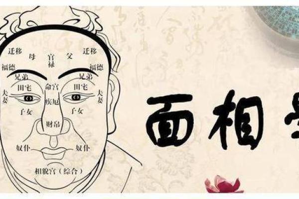 二婚面相解读：面部线条如何反映再婚的命运走向