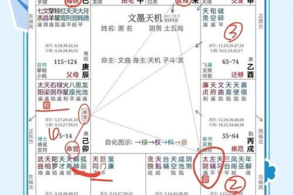 紫薇排盘格局分析与免费命运解读