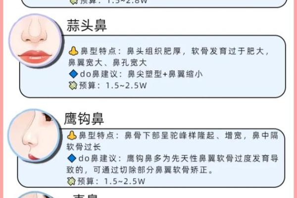 如何通过鼻梁宽度解读面相中的性格特点与运势分析
