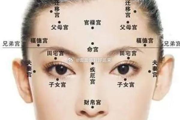 如何通过鼻梁宽度解读面相中的性格特点与运势分析