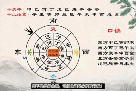 理解天干的关键技巧，助力命理分析准确无误
