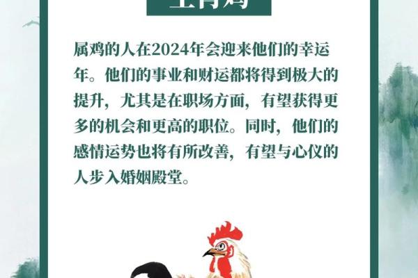 鸡年命理与生肖运势的深度剖析