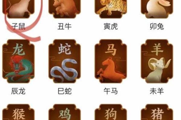 从五行看属鼠人的命运特征与运势变化