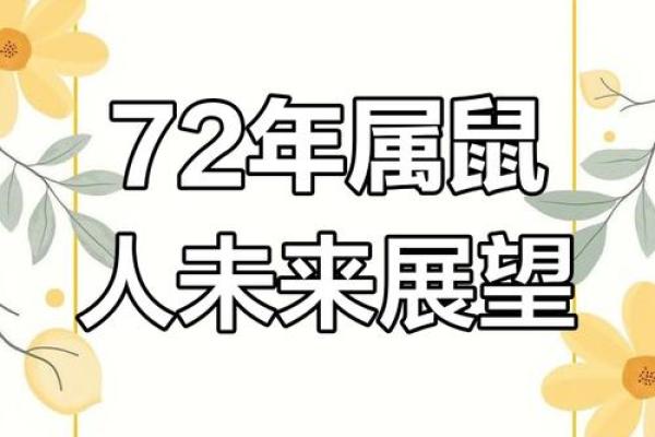 从五行看属鼠人的命运特征与运势变化