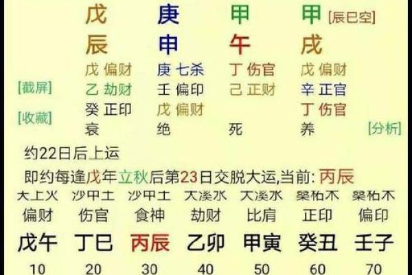 女生男命的命理解析与人生影响