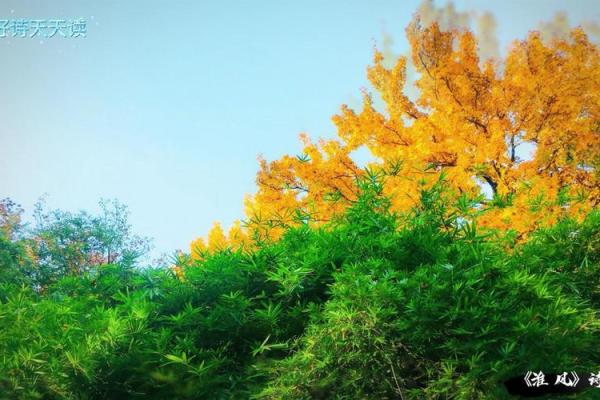秋季干燥对睡眠的影响：如何改善秋天的梦境体验