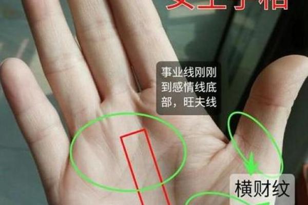 如何通过开运线手相揭示你的幸运之路