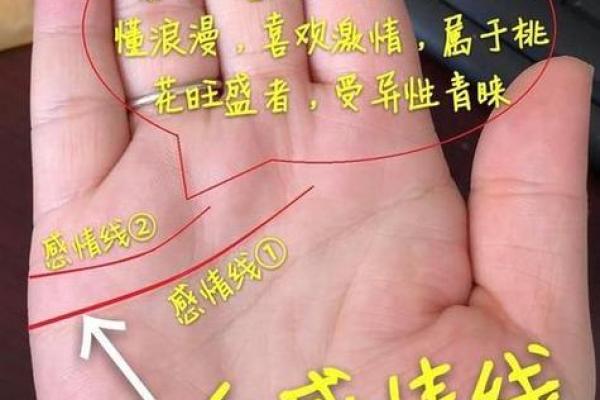如何通过开运线手相揭示你的幸运之路