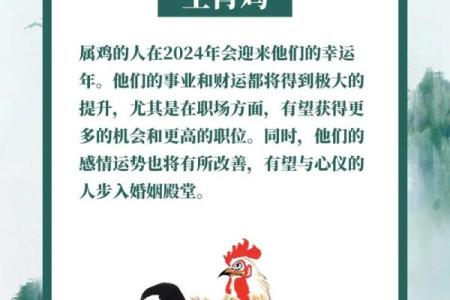 鸡年命理与生肖运势的深度剖析