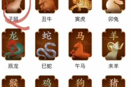 从五行看属鼠人的命运特征与运势变化