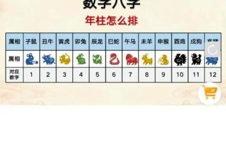 八字财富对照表解析：如何通过八字看财富运势