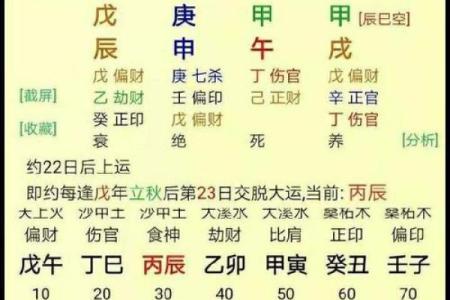 女生男命的命理解析与人生影响