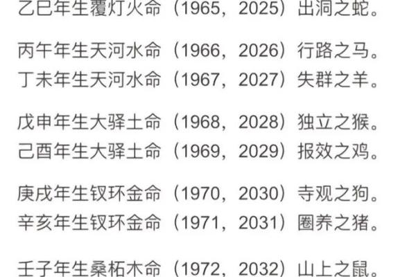 生辰八字命格揭秘：如何通过八字了解你的命运轨迹