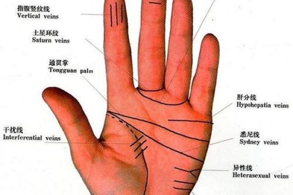 男性手相深度分析：从手掌看你的性格与财富