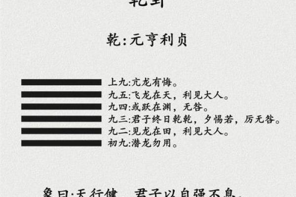 深入探讨纯阳命的定义及其在命理中的特殊地位