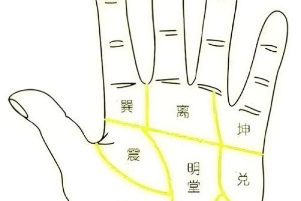 如何通过手相了解孕妇的健康与未来