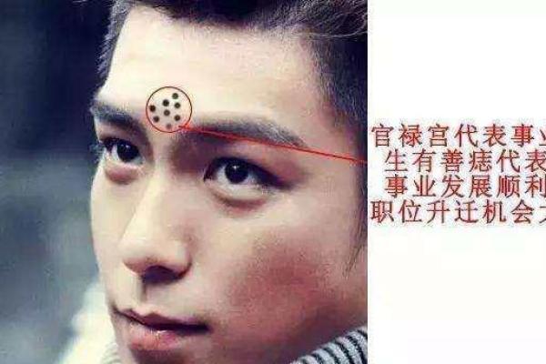 揭示面相中的猥琐信号与心理暗示