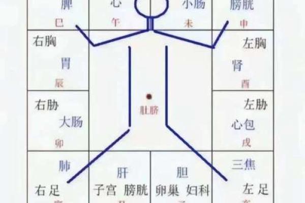探秘天干地支对人鬼命运的暗示