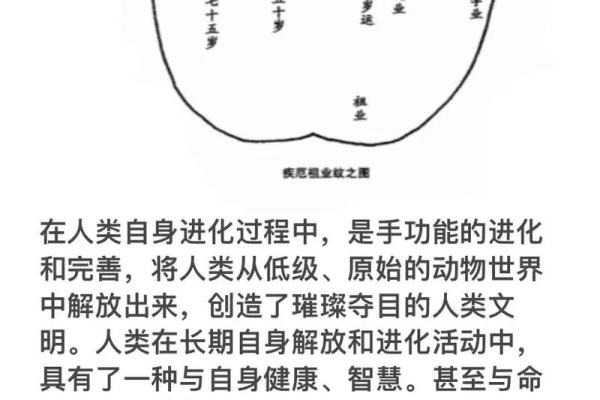 如何通过手相中的事业纹洞察职业成功的关键