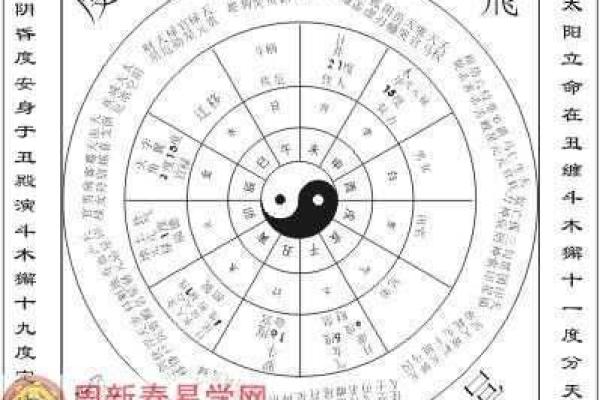 飞宫小奇门排盘软件使用指南：从入门到精通