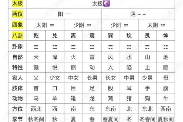 探索天干能记录的神秘力量与实践
