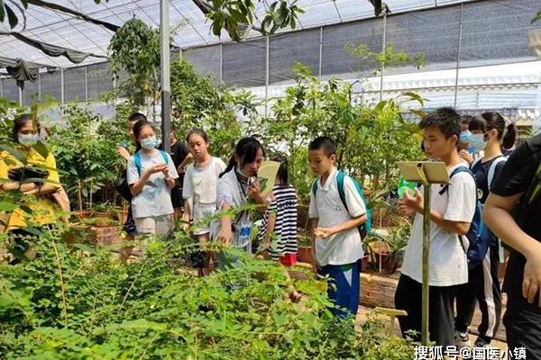 探索天干能记录的神秘力量与实践