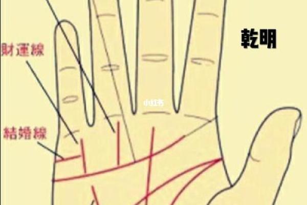 拍照看手相软件让你随时随地预测人生走向