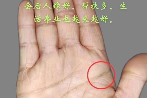 拍照手相算命揭秘：如何通过手掌纹路预测未来运势