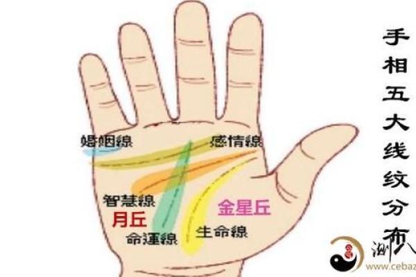 拍照手相算命揭秘：如何通过手掌纹路预测未来运势