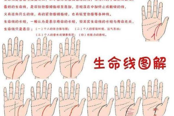 女子手相中的断掌线与命运关系深度解析