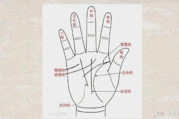 女子手相中的断掌线与命运关系深度解析