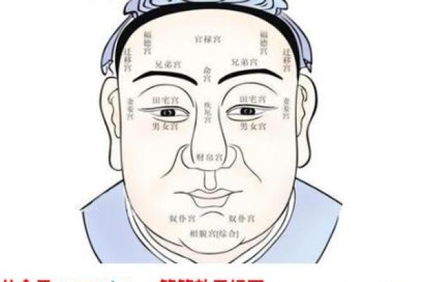 狮人面相的独特魅力与性格特征分析