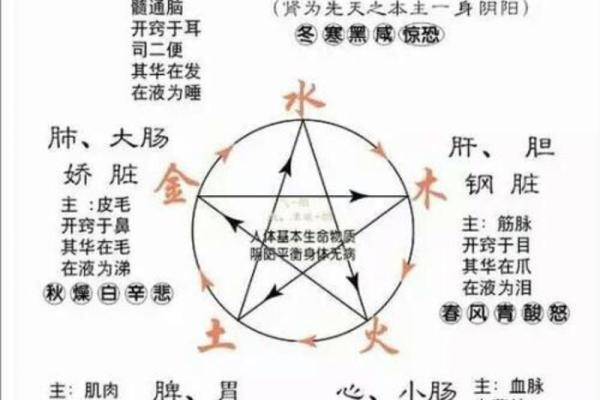 五行克制关系解析：深入了解五行相生相克的奥秘