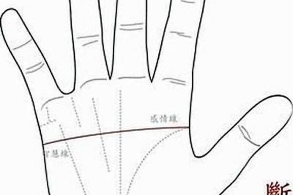 贵妃命的含义与象征：如何解读命运中的特殊迹象