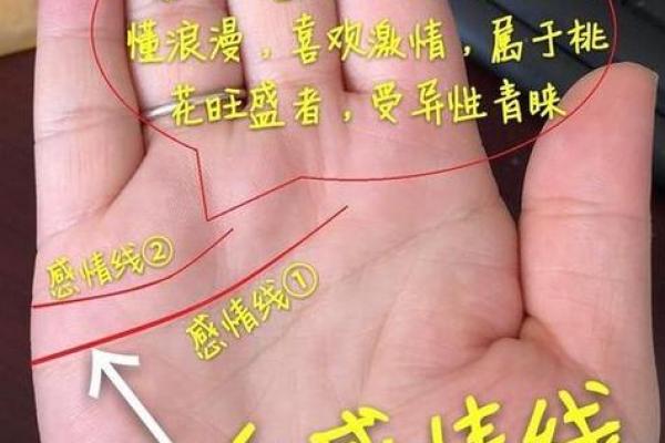 女性手相：如何通过掌纹预测人生发展