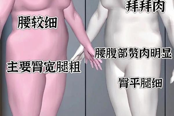 通过八字分析体型：了解命理如何影响体重与身材