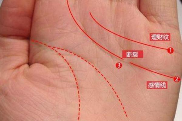 深入解析手相：如何通过手掌预测你的命运