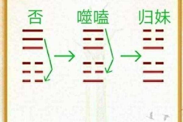 谷字五行属什么？探秘其背后的深层含义