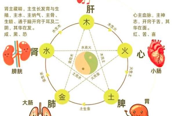 如何辨别五行缺失及其对健康的影响