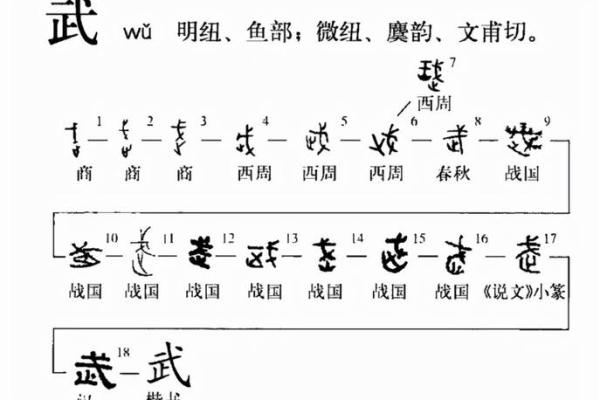文命与武命：人生选择的两种力量
