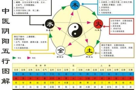 雄字五行属什么以及其在命理中的意义分析