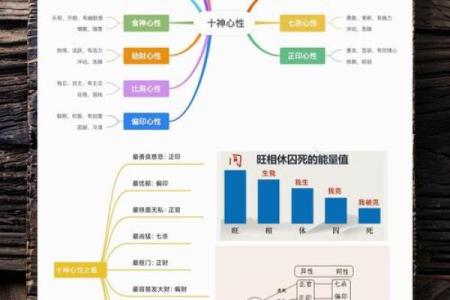 属相五行对照表解析及其对性格与命运的影响